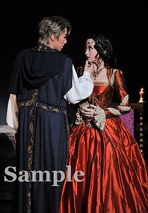 真風・星風 舞台写真／宙組大劇場公演『白鷺(しらさぎ)の城(しろ)』『異人たちのルネサンス』