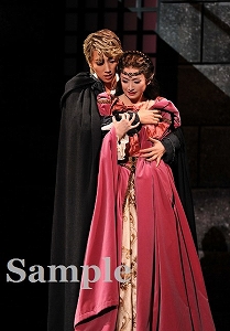 真風・星風 舞台写真／宙組大劇場公演『白鷺(しらさぎ)の城(しろ)』『異人たちのルネサンス』