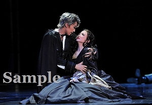 真風・星風 舞台写真／宙組大劇場公演『白鷺(しらさぎ)の城(しろ)』『異人たちのルネサンス』