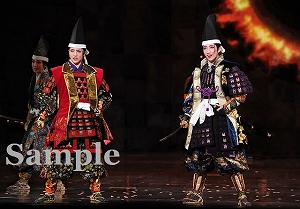 真風・芹香 舞台写真／宙組大劇場公演『白鷺(しらさぎ)の城(しろ)』『異人たちのルネサンス』