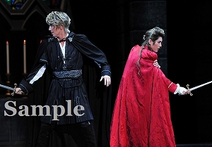 真風・芹香 舞台写真／宙組大劇場公演『白鷺(しらさぎ)の城(しろ)』『異人たちのルネサンス』