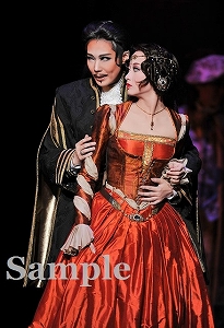 愛月・星風 舞台写真／宙組大劇場公演『白鷺(しらさぎ)の城(しろ)』『異人たちのルネサンス』