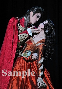 芹香・星風 舞台写真／宙組大劇場公演『白鷺(しらさぎ)の城(しろ)』『異人たちのルネサンス』