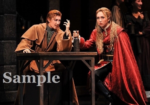 桜木・凛城 舞台写真／宙組大劇場公演『白鷺(しらさぎ)の城(しろ)』『異人たちのルネサンス』