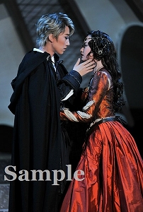 真風・星風 ポケットスチール／宙組大劇場公演『白鷺(しらさぎ)の城(しろ)』『異人たちのルネサンス』