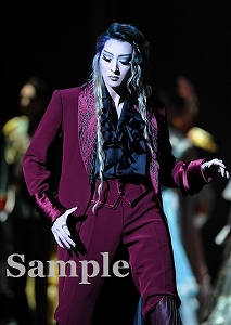 珠城りょう 舞台写真／月組東京公演『エリザベート－愛と死の輪舞（ロンド）－』