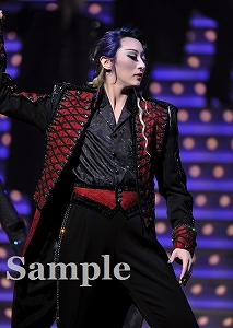 珠城りょう 舞台写真／月組東京公演『エリザベート－愛と死の輪舞（ロンド）－』