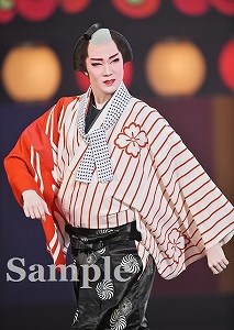 愛月ひかる 舞台写真／宙組東京公演『白鷺（しらさぎ）の城（しろ）』『異人たちのルネサンス』