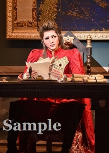 芹香斗亜 舞台写真／宙組東京公演『白鷺（しらさぎ）の城（しろ）』『異人たちのルネサンス』