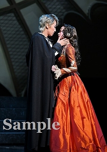 真風・星風 舞台写真／宙組東京公演『白鷺（しらさぎ）の城（しろ）』『異人たちのルネサンス』