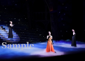 仙名・花野・桜咲 舞台写真／「仙名彩世サヨナラショー」