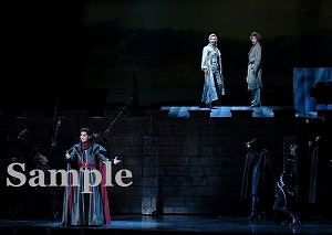 明日海　他 舞台写真／花組東京公演『CASANOVA』