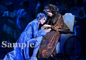 明日海 華 舞台写真／花組大劇場公演『A Fairy Tale －青い薔薇の精－』『シャルム！』