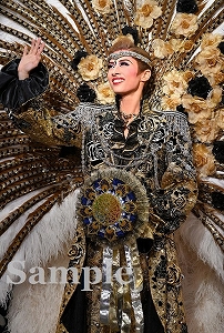 明日海りお ポケットスチール／花組大劇場公演『A Fairy Tale －青い薔薇の精－』『シャルム！』