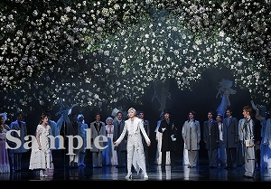 聖乃　他 舞台写真／花組新人公演『A Fairy Tale －青い薔薇の精－』