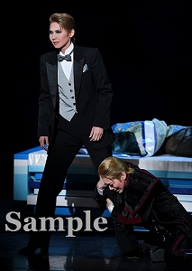 瑠風・鷹翔 舞台写真／宙組宝塚バウホール公演『リッツ・ホテルくらいに大きなダイヤモンド』