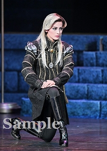 雪組全国ツアー公演 宝塚ロマン『はばたけ黄金の翼よ』/ ダイナミック・ショー『M 雪組 全国公演「はばたけ黄金の翼よ」／宝塚歌劇団 雪組｜音楽
