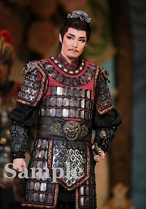 愛月ひかる 舞台写真／星組大劇場公演『眩耀（げんよう）の谷～舞い降りた新星～』『Ray―星の光線―』