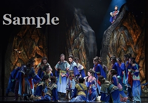 礼　他 舞台写真／星組大劇場公演『眩耀（げんよう）の谷～舞い降りた新星～』『Ray―星の光線―』