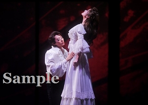 珠城・美園 舞台写真／月組 御園座公演『赤と黒』