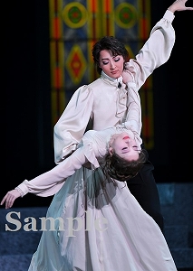 珠城・美園 舞台写真／月組 御園座公演『赤と黒』