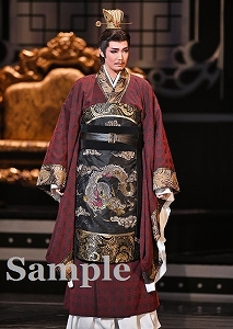 愛月ひかる 舞台写真／星組東京公演『眩耀（げんよう）の谷～舞い降りた新星～』『Ray―星の光線―』