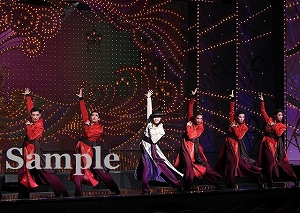 礼　他 舞台写真／星組東京公演『眩耀（げんよう）の谷～舞い降りた新星～』『Ray―星の光線―』