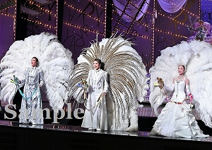 フィナーレ 舞台写真／星組東京公演『眩耀（げんよう）の谷～舞い降りた新星～』『Ray―星の光線―』