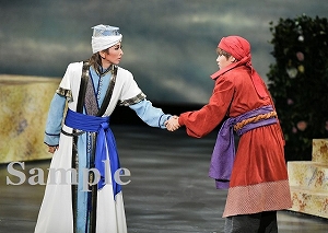 TAKARAZUKA SKY STAGE ｢NOZOMI｣ BEST SCENE SELECTION