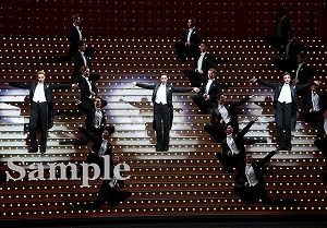 月城 他 舞台写真／月組大劇場公演『WELCOME TO TAKARAZUKA ―雪と月と花と―』『ピガール狂騒曲』