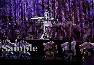 松本 他 舞台写真／月組大劇場公演『WELCOME TO TAKARAZUKA ―雪と月と花と―』『ピガール狂騒曲』