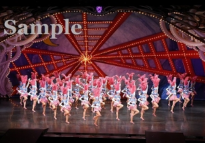 ロケット 舞台写真／月組大劇場公演『WELCOME TO TAKARAZUKA ―雪と月と花と―』『ピガール狂騒曲』