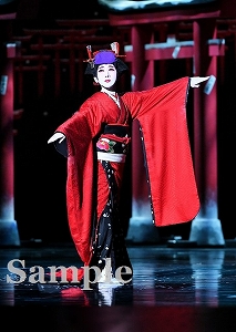 宝塚歌劇ステージカレンダー 2020年版  表裏両面写真26枚 宝塚歌劇ステージカレンダー 2020年版 表裏両面写真26枚