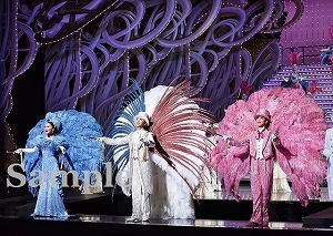 月組 宝塚WELCOMETO TAKARAZUKA-雪と月と花と/ピガール狂騒曲 月組公演 『WELCOME TO TAKARAZUKA －雪と月と花と