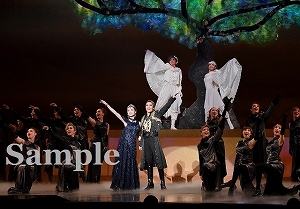 望海　他 舞台写真／雪組大劇場公演『f f f―フォルティッシッシモ―』『シルクロード～盗賊と宝石～』