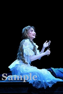 月組 宝塚大劇場公演 ミュージカル ロミオとジュリエット〈2枚組〉