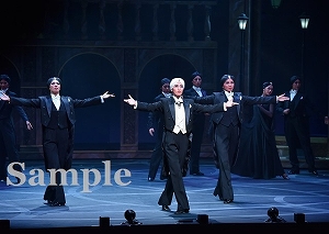 月城 他 舞台写真／月組TBS赤坂ACTシアター公演『ダル・レークの恋』