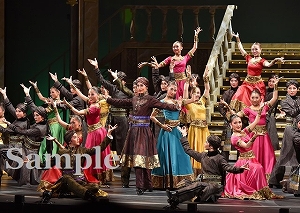 月城 他 舞台写真／月組TBS赤坂ACTシアター公演『ダル・レークの恋』