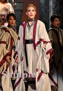 聖乃あすか 舞台写真／花組大劇場公演『アウグストゥス―尊厳ある者―』『Cool Beast!!』