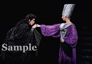 瀬戸･凪七 舞台写真／花組大劇場公演『アウグストゥス―尊厳ある者―』『Cool Beast!!』