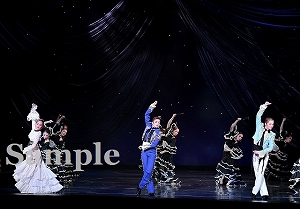 鳳月・暁・美園 舞台写真／月組大劇場公演『桜嵐記(おうらんき)』『Dream Chaser』