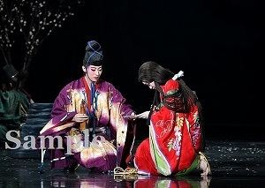 珠城・美園 舞台写真／月組東京公演『桜嵐記(おうらんき)』『Dream Chaser』