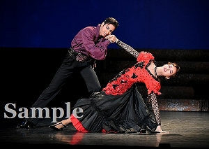 柚香･星風 舞台写真／花組全国ツアー公演『哀しみのコルドバ』『Cool Beast!!』