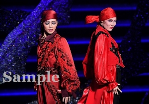 礼･愛月 舞台写真／星組大劇場公演『柳生忍法帖』『モアー・ダンディズム！』