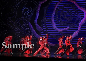 礼　他 舞台写真／星組東京公演『柳生忍法帖』『モアー・ダンディズム！』