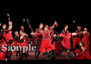 桜木 他 舞台写真／宙組全国ツアー公演『バロンの末裔』『アクアヴィーテ（aquavitae）!!』