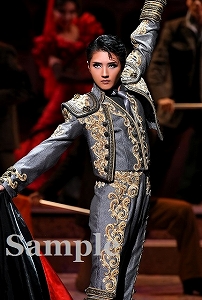 芹香斗亜 ポケットスチール／宙組大劇場公演『NEVER SAY GOODBYE』