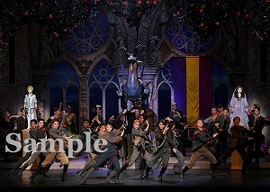 芹香　他 舞台写真／宙組東京公演『NEVER SAY GOODBYE』