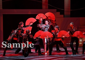 鳳月　他 舞台写真／月組KAAT神奈川芸術劇場公演『ELPIDIO』