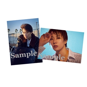 新品❗️宙組 宝塚大劇場公演 NEVER SAY GOODBYE-ある愛の軌跡-